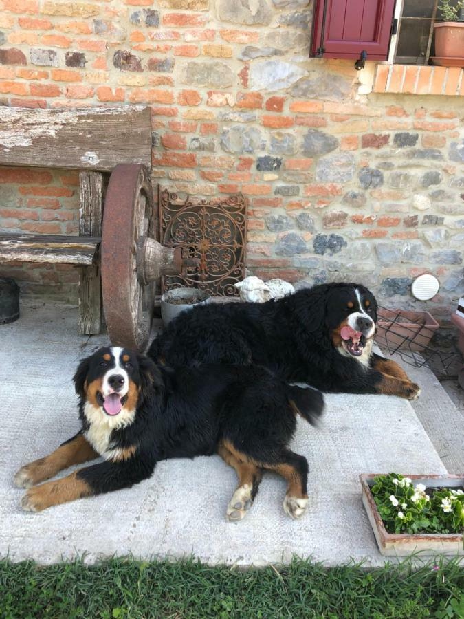 New Flowers Farm B&B 노세토 외부 사진